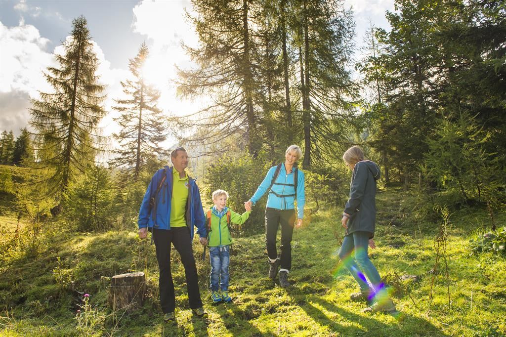 Familienwanderspaß "Alles Alm"