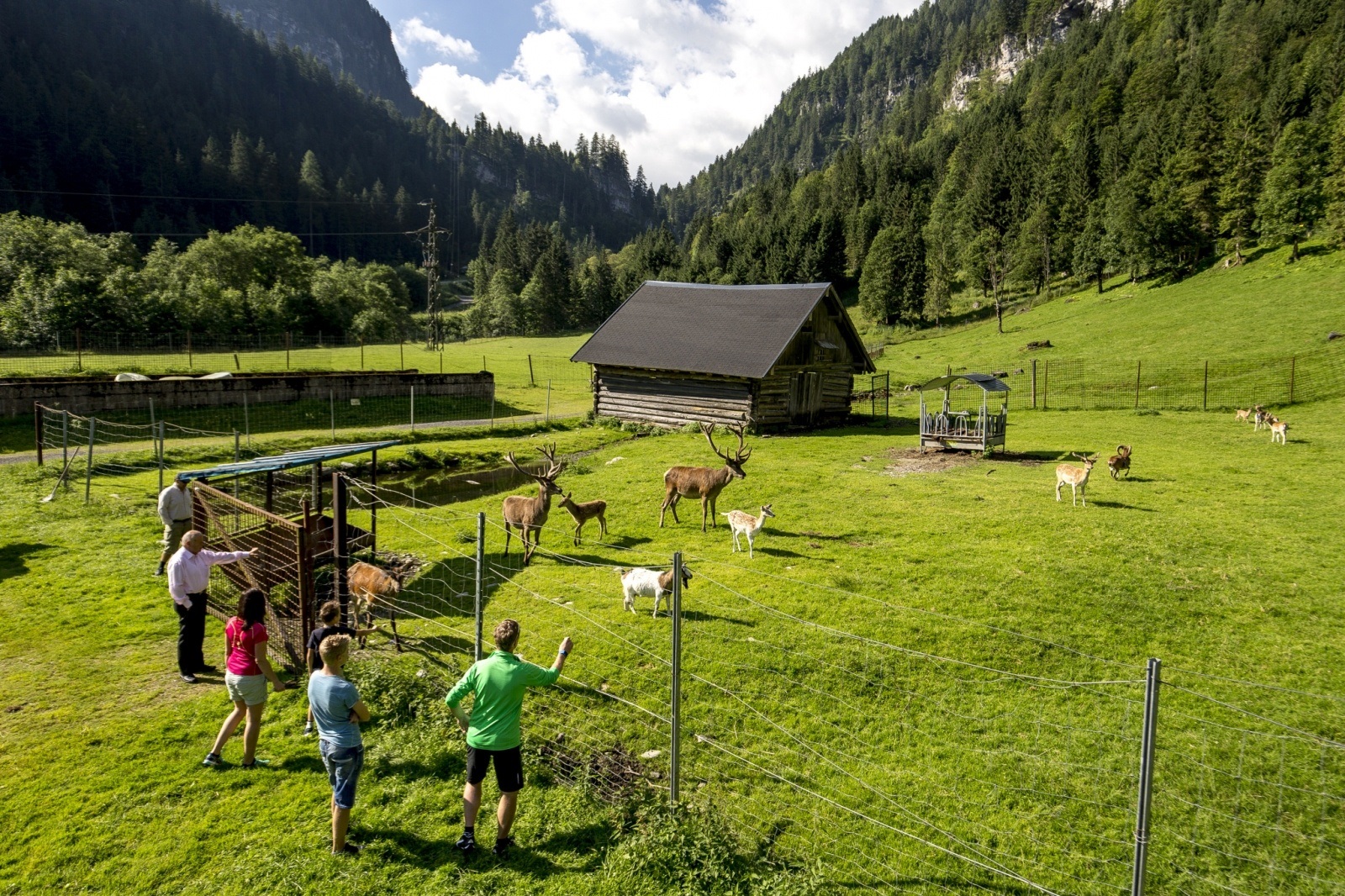 (E-)Bike Tour zum Freizeit- & Wildpark Untertauern (14)