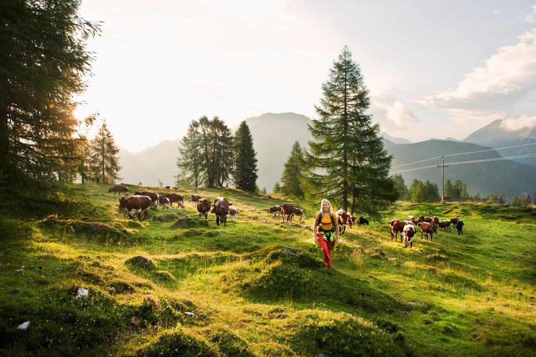 Salzburger Almenweg - Etappe 18: Zauchensee – Gnadenalm - Obertauern