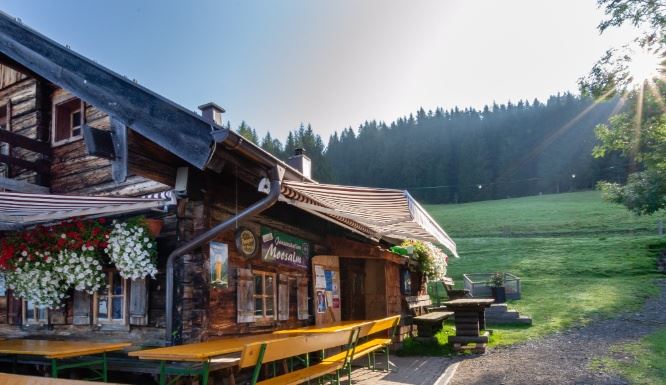 Weg zur Moosalm